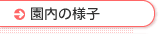 園内の様子